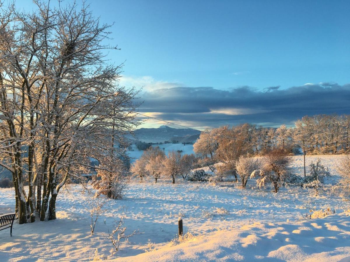 Agriturismo Il Filare Neviano degli Arduini Dış mekan fotoğraf